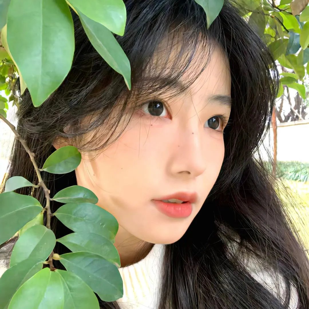 整形归来3：前世今生